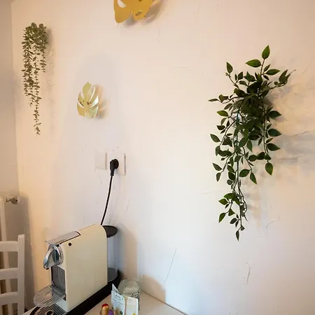 Apartment Location Studio Avec Loggia Antibes